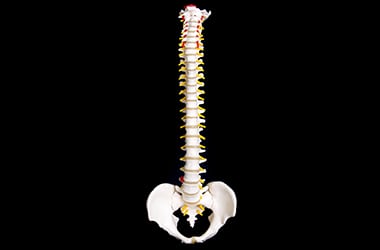 Vertebral Compression Thumb - Conditions